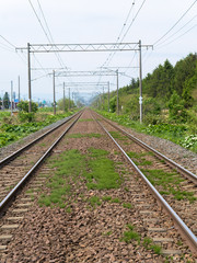 北海道の風景