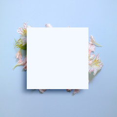 Frames with beautiful flowers