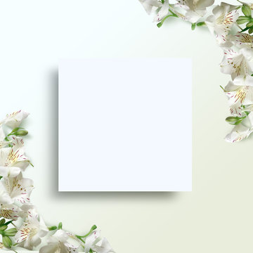 Frames with beautiful flowers