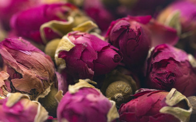A Background of Dried Rose Buds