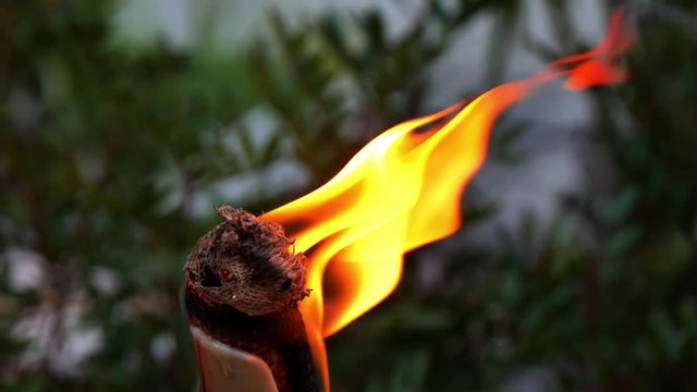 Fuoco su torcia