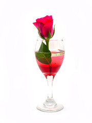  red roses in glass.
