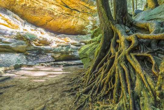 Old Mans Cave Hocking Hill Ohio