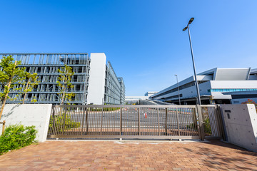 豊洲市場 Toyosu market