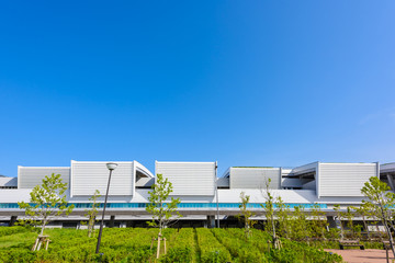 豊洲市場 Toyosu market