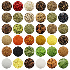 set of spices isolated