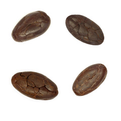 set of cacao beans isoloted