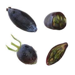 set of honeysuckle isolated on white