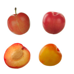 Cherry plum isolated on white