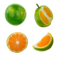 green tangerin isolated