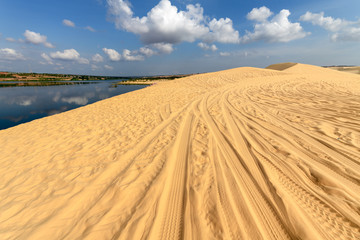 Landscape of White Sand Dunes desert and oasis