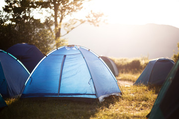 tents in a camp in nature