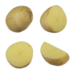 set of potatos isolated