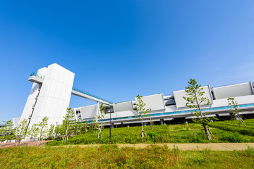 豊洲市場 Toyosu market