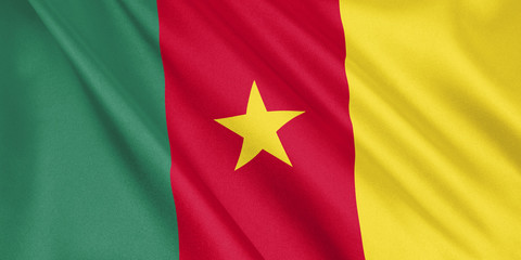 Cameroon flag waving with the wind, wide format, 3D illustration. 3D rendering.