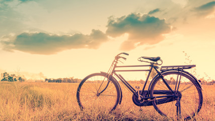 Naklejka na ściany i meble beautiful landscape image with Bicycle in vintage tone style
