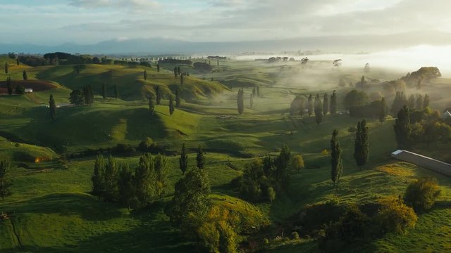 Drone shot New Zealand countryside with trees and road