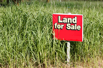 Land for sale sign