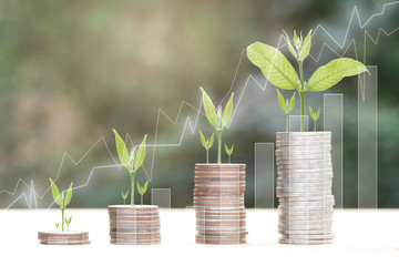 Fototapeta na wymiar Business Finance and Money concept, Money coin stack growing graph with green bokeh background,Trees growing on coin