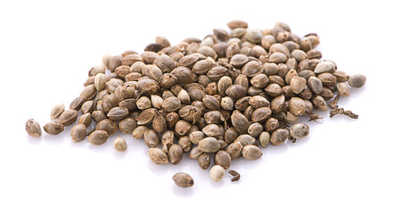 Heap of hemp seeds on white background