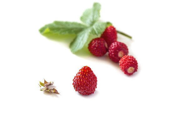 several small ripe useful strawberries