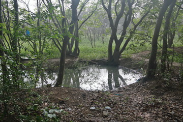 Naklejka premium SAMSUNG CSC