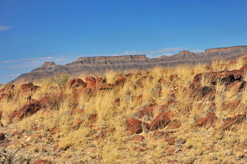 Namibia. Landscape in the evening