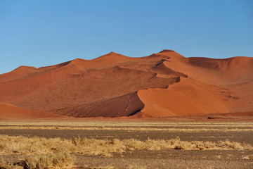 Fototapeta na wymiar Namibia. Dunes from red sand
