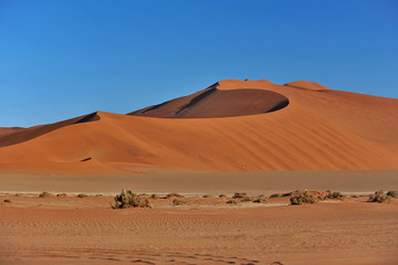 Fototapeta na wymiar Namibia. Dunes from red sand
