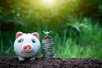 Tree on the coins have a piggy bank and coins next to on the ground and complete in nature background.