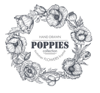 Vector floral frame with bouquets of hand drawn poppy flowers