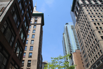 Obraz premium NYC Buildings