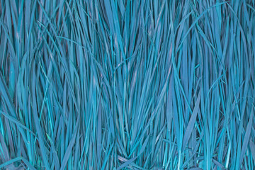 Grass Pattern Abstract Background cyan