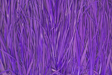 Grass Pattern Abstract Background violet