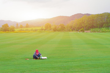 A man mowing the grass on the green grass. Cleaning the Park. lush mountains in the background