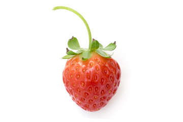 single Strawberry isolated on a white background