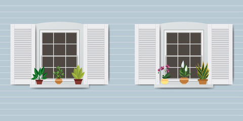 Windows and pots with flowers