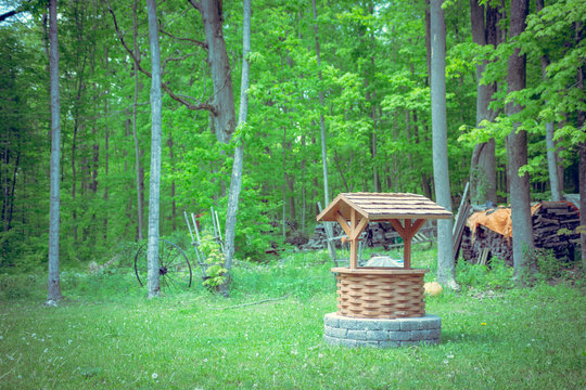 Well in the woods