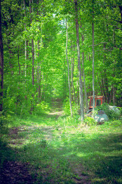 Hidden Path