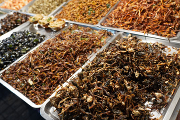 Fried bugs and insects in Bangkok Thailand at Night