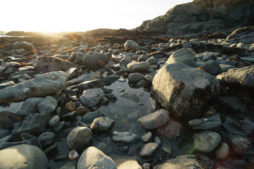 low tide tide pools exposed at sunset