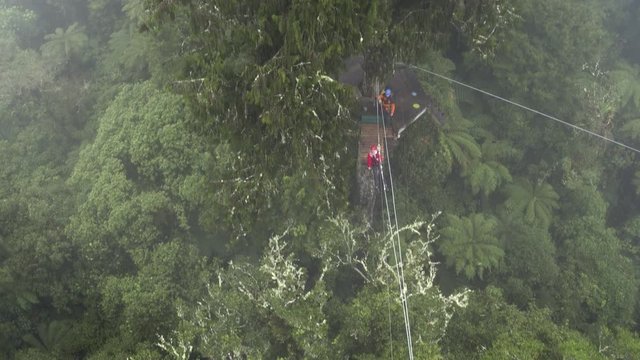 Man speeding down zip line in misty New Zealand forest