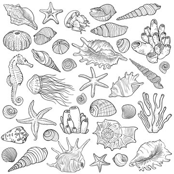 Set of vector sea animals