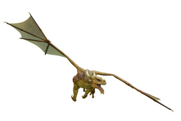 yellow dragon in a white background