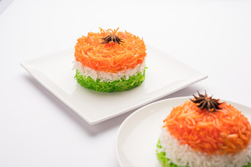 Tricolor Tiranga Rice for indian Republic and Independence day, served in a ceramic plate, selective focus