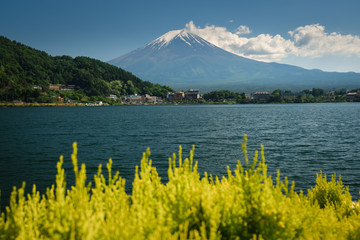 Beautiful view Mt.Fuji with snow, blue sky and clound in summer at Kawaguchi, selective focus
