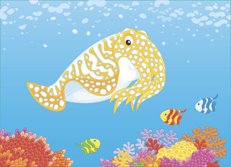 Fototapeta premium Cuttlefish and small butterfyfishes swimming over colorful corals on a reef in a tropical sea, vector illustration in a cartoon style