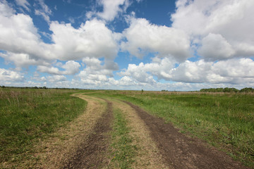 Fototapeta na wymiar summer landscape with road in the field against the horizon with blue sky and clouds