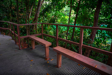 Benches on Walking Path at Macritchie Reservoir Park