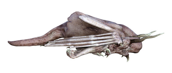 3D Rendering Fantasy Vampire Dragon on White